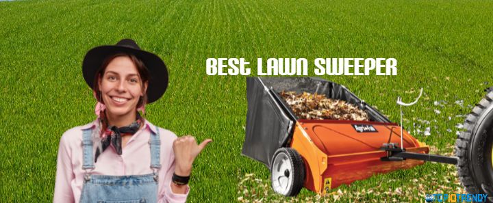 Best Lawn Sweepers