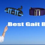 Best Gait Belt