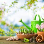 How to Maintain a Garden