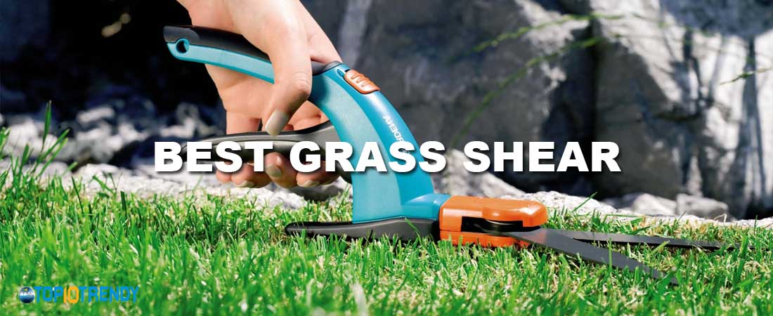Best Grass Shear