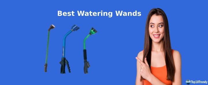 Best Watering Wands