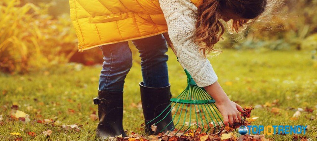 Clean the garden from dead leaves