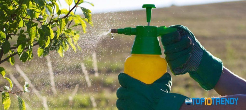 Use-recommended-herbicides-and-pesticides