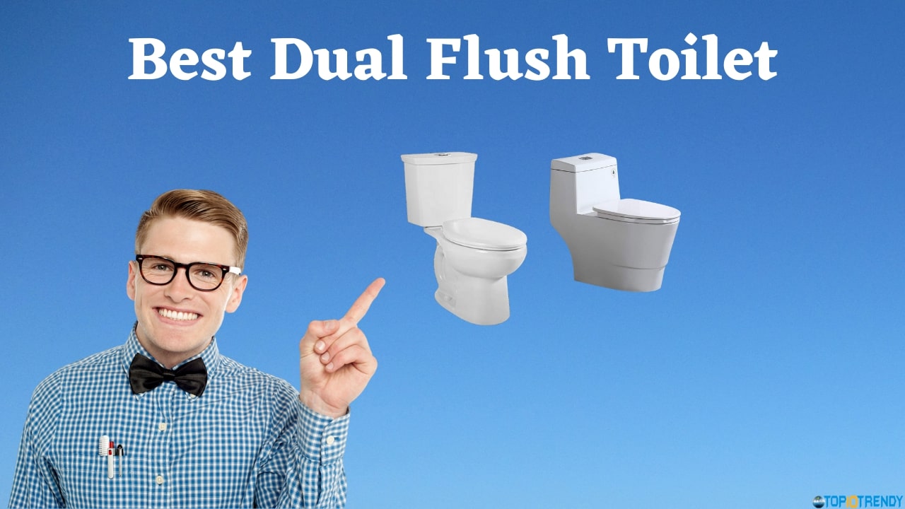 Best Dual Flush Toilet