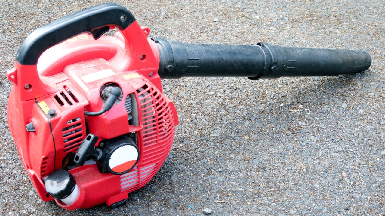 Best Cordless Leaf Blower For Drying Car