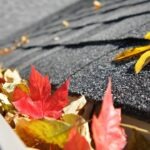 Best Leaf Blower For Gutters
