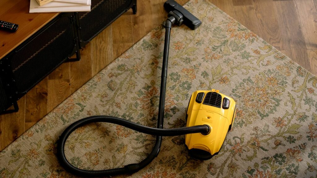 Best Spot Carpet Cleaner for Pet Stains