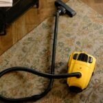 Best Spot Carpet Cleaner for Pet Stains