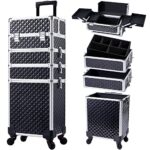 Best Professional Makeup Train Case
