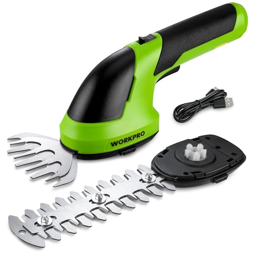Best Grass Shears Cordless