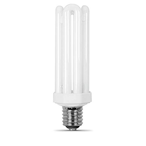 Best Fluorescent Bulbs for Home