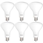 Best Led Spot Light Bulbs