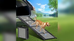 Best Car Ramp for Large Dogs