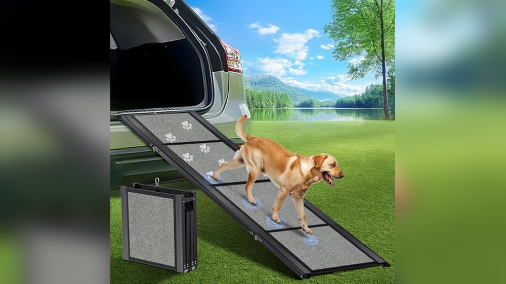 Best Car Ramp for Large Dogs